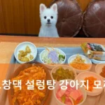분당 고창댁 설렁탕 강아지 모찌