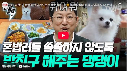 혼밥 강아지 모찌 식당 분당 서현동 고창댁 설렁탕! (효자촌 고창동 설농탕 집)