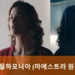마에스트라 원작 필하모니아 드라마