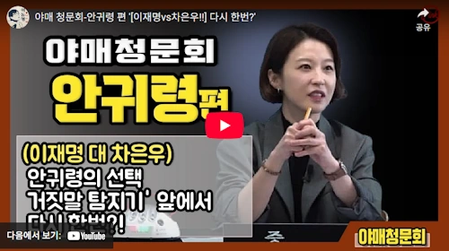 안귀령 이재명 보다 차은우 