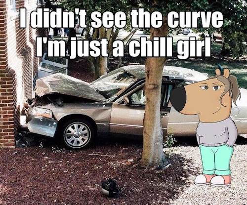 Chill Guy 뜻 밈 원본 유래 난 칠가이 넌 칠걸~ | 정말 Chill하다 테스트 노래 Chill Girl