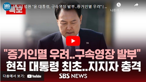 부장 판사 차은경 프로필 고향 성향 학력 A to Z! 서부지법 윤석열 대통령 구속영장 심사