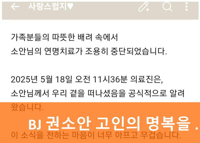 안타까운 부고 숲 스트리머 BJ 권소안 사망 지주막하출혈이라니...