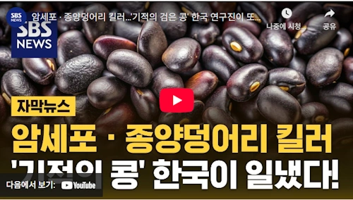 소만콩 효능 