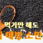 소만콩 효능 가격 레시피 파는곳 재배방법 (심는시기 수확시기)
