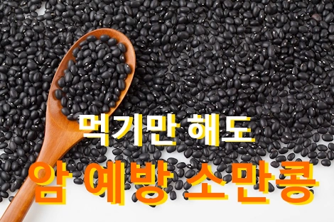 소만콩 효능 가격 레시피 파는곳 재배방법 (심는시기 수확시기)