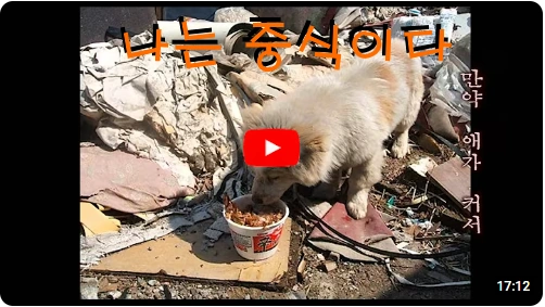 정중식 감독 필모그래피 영화 나는 중식이다