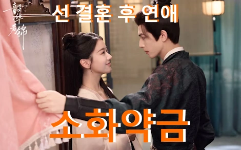 중드 소화약금 줄거리 결말 리뷰 + 출연진 등장인물 관계도