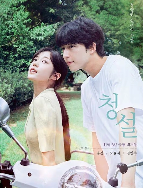 영화 청설 관람평 결말 해석 줄거리 리뷰 수어로 전하는 첫사랑