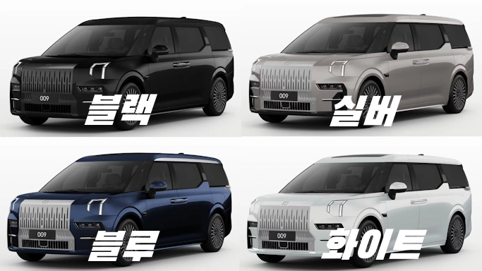 지커 9X 색상 