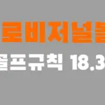 골프규칙 프로비저널볼 이란 (feat. 김태훈 프로 Provisional Ball)