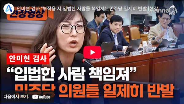 국정감사 안미현 검사 보완수사권 비판 