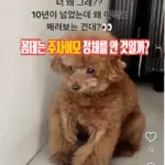 남편까지 있는 이00 박나래 주사이모 포강의과대학 불법 의료 인스타 라니... (ft. 샤이니 키) 남편까지 있는 이00 박나래 주사이모 포강의대 불법 의료 인스타 라니... (ft. 샤이니 키)