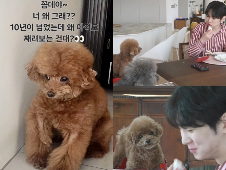 박나래 주사이모 샤이니 키 꼼데