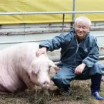 삼겹살 데이를 만든 돈마루 대표 이범호 회장 프로필 (ft. 나이 서울대 학력 재산)