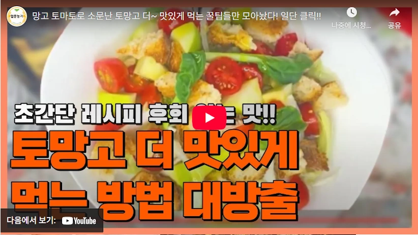 서장훈의 이웃집 백만장자 김호연 우듬지팜 토망고 레시피 맛있게 먹는방법