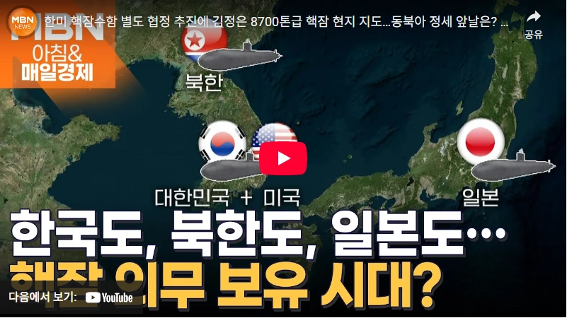 핵잠수함 추진 외교관 국가안보실장 위성락 프로필 국회의원 고향 학력 (ft. 선거이력) 위성락 핵잠수함 한미 별도 협정 추진에 김정은 8700톤급 핵잠 현지 지도