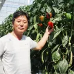 토마토 스마트팜으로 1000억 농부 우듬지팜 김호연 대표 프로필 & 재산 (ft. 다이어트 토망고 효능 부작용) 토마토 스마트팜으로 1000억 농부 우듬지팜 김호연 대표 프로필 & 재산 (ft. 다이어트 토망고 효능 부작용)