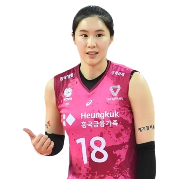 김다솔 배구선수 프로필·계약금 0원 수련선수 신화 원더독스 시즌2로 (통계 방송) 김다솔 배구선수 프로필·계약금 0원 수련선수 신화 원더독스 시즌2로 (통계 방송)